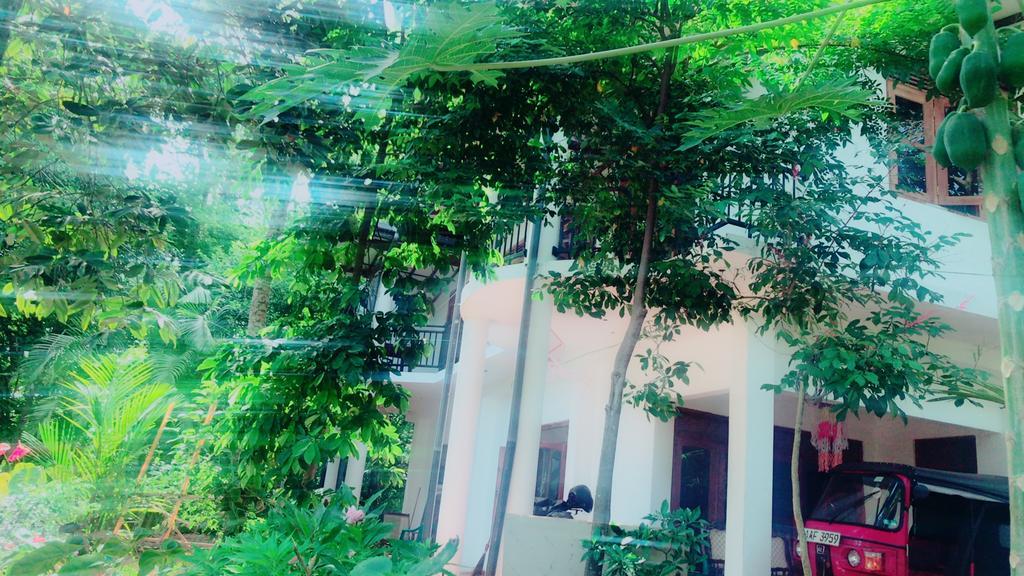 Mount Nature Villa Hikkaduwa Bagian luar foto
