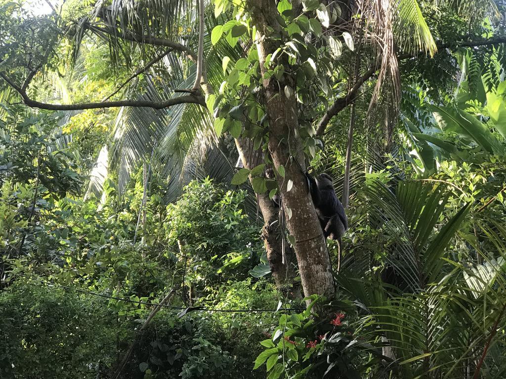 Mount Nature Villa Hikkaduwa Bagian luar foto
