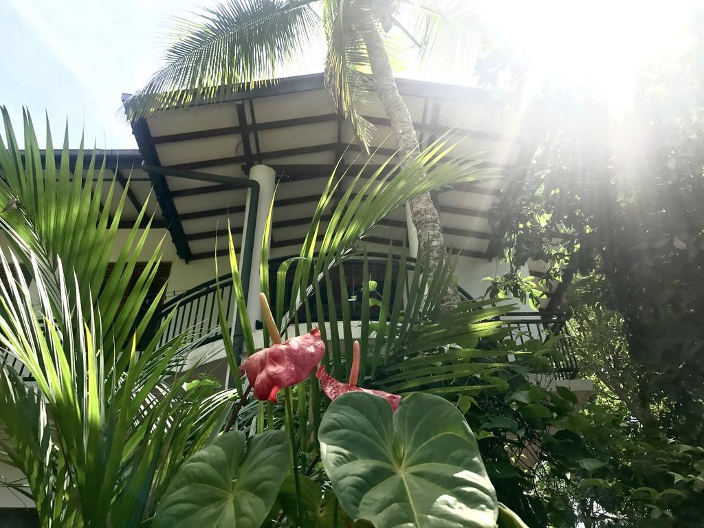 Mount Nature Villa Hikkaduwa Ruang foto